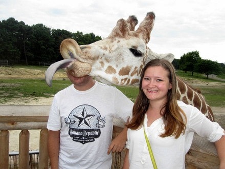 Photobombed door giraffe